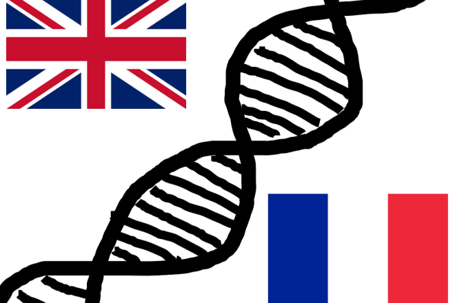 I will translate scientific content from english to french