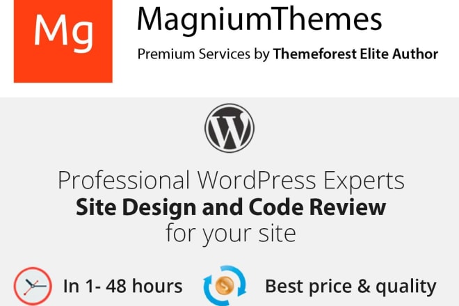 I will wordpress site code, design review for web developers and webdesign agencies