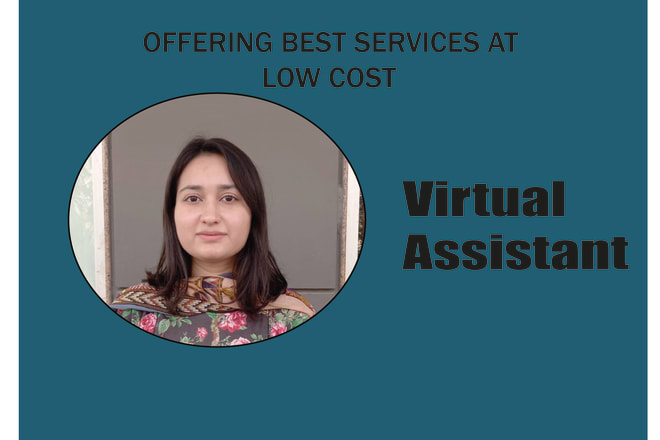 I will work as a virtual assistant for you