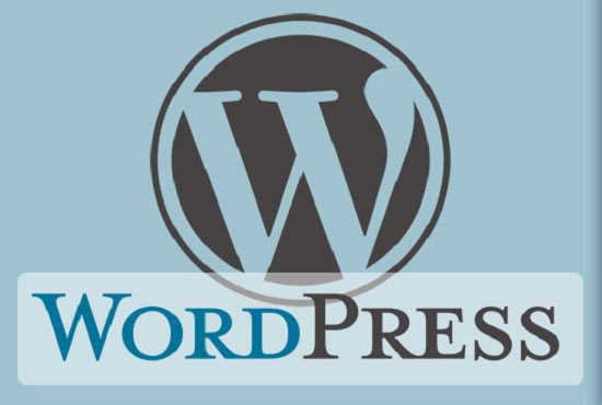 I will write tutorial on wordpress theme or pligin