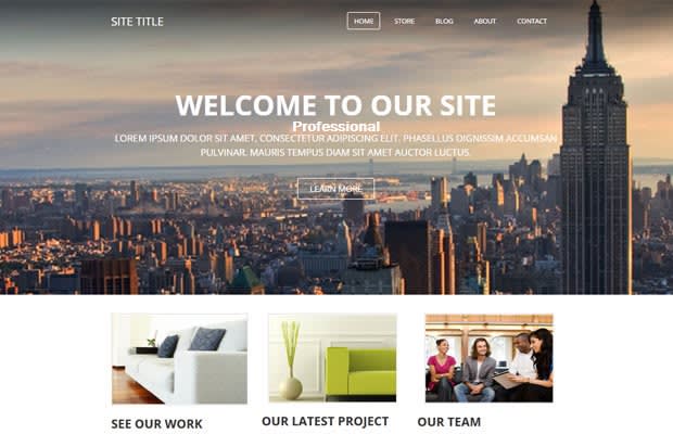 I will design professional website using wordpress