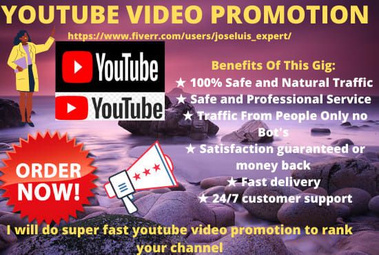 I will do super fast organic youtube video music promotion for top video ranking