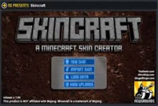 I will make a high quality minecraft skin