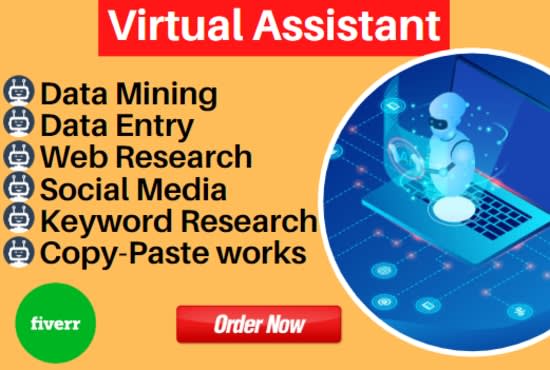 I will be your virtual assistant for data mining, web and keyword research