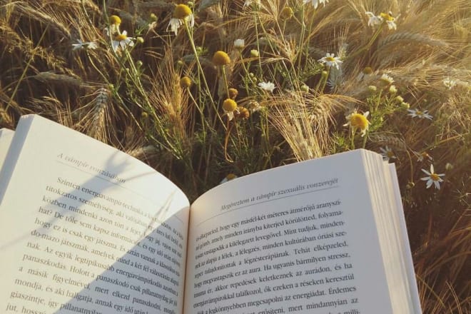 I will beta read your short story or first chapters