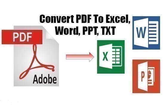 I will convert PDF to excel