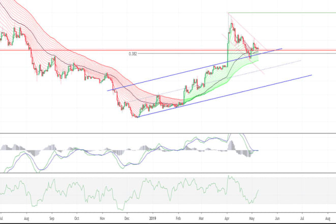 I will create a custom tradingview pinescript indicators