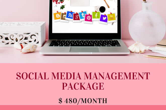I will definitely help you with social media management