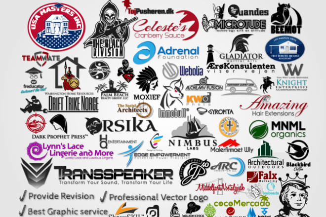 I will design professional vector logo in adobe illustrator