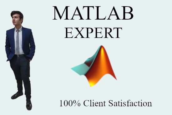 I will do a matlab project or simulation for you