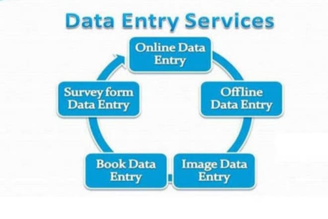 I will do advanced data entry job for any USA organization