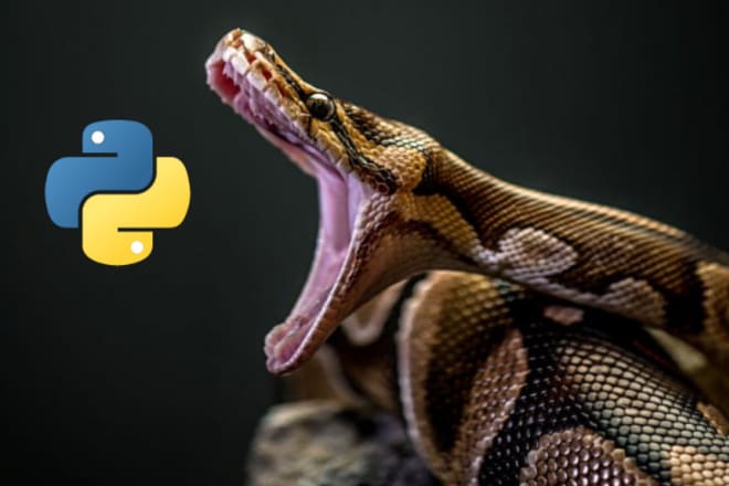 I will do any python project and automation