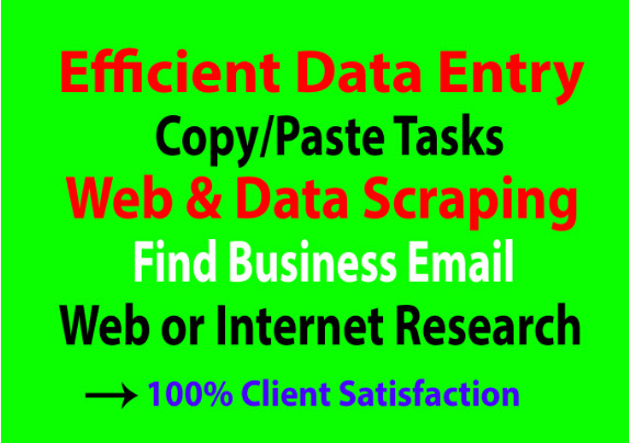 I will do data entry,copy paste, web research,data mining and excel