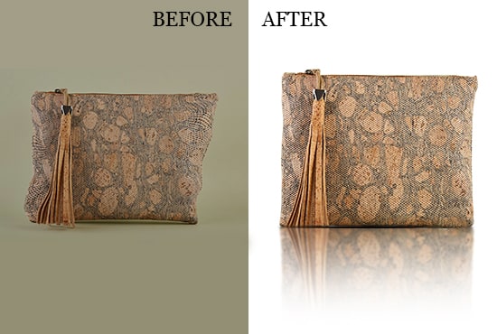 I will do ecommerce product photo editing or product retouching