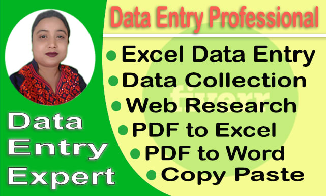 I will do excel data entry, copy paste, typing, data entry