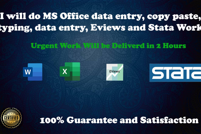 I will do excel data entry, copy paste, typing, data entry, eviews and stata