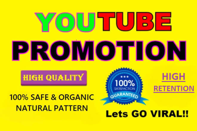 I will do viral youtube video promotion by ad google campaigns