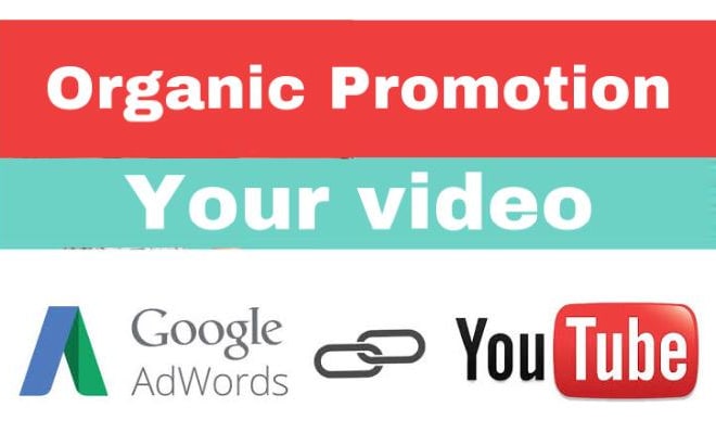 I will do youtube video promotion with google ads