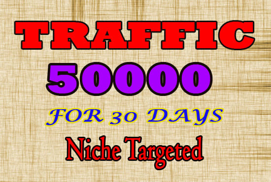 I will drive 50k usa niche targeted,visitors website,traffic