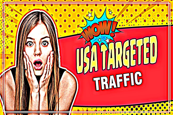 I will drive niche targeted USA web traffic, real organic visitors