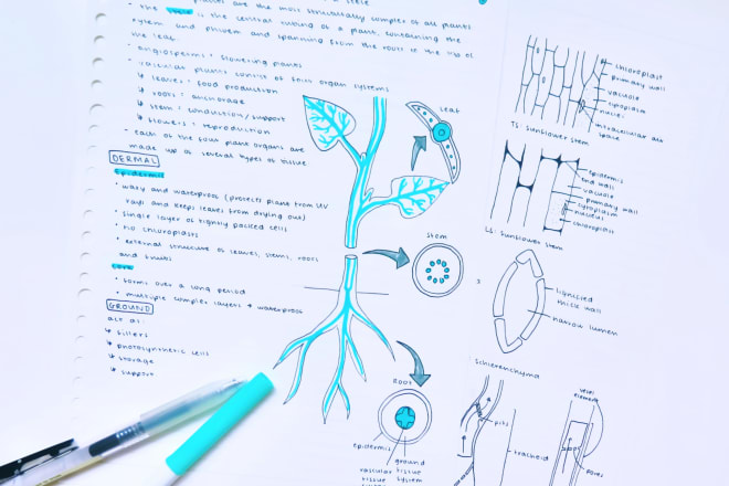 I will handwrite or type study notes for you