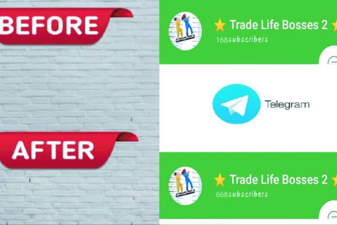 I will help to promote your telegram groups