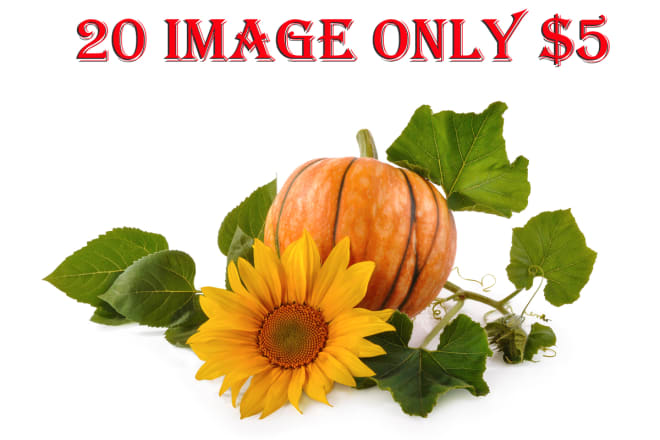 I will image editing for online stores and amazon