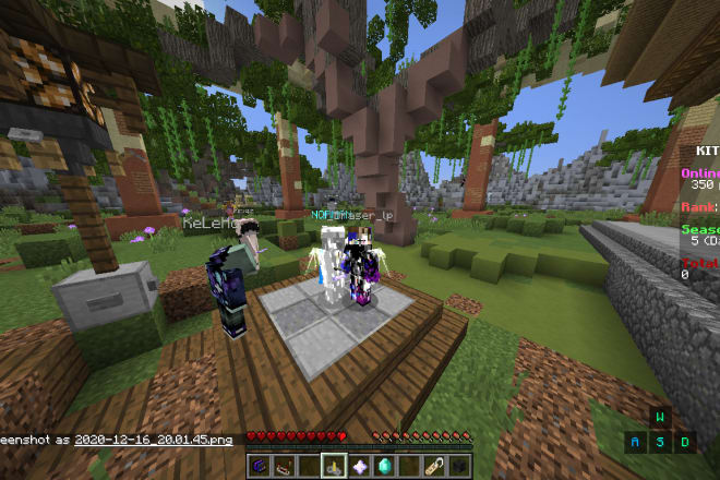 I will make professionell minecraft texturepacks