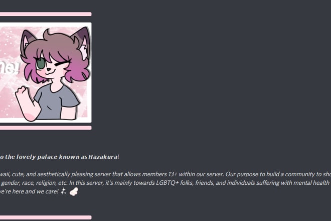 I will make you a professional, yet aesthetic discord server
