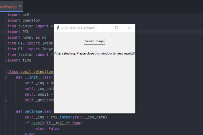 I will make your projects in cpp python java and web automation