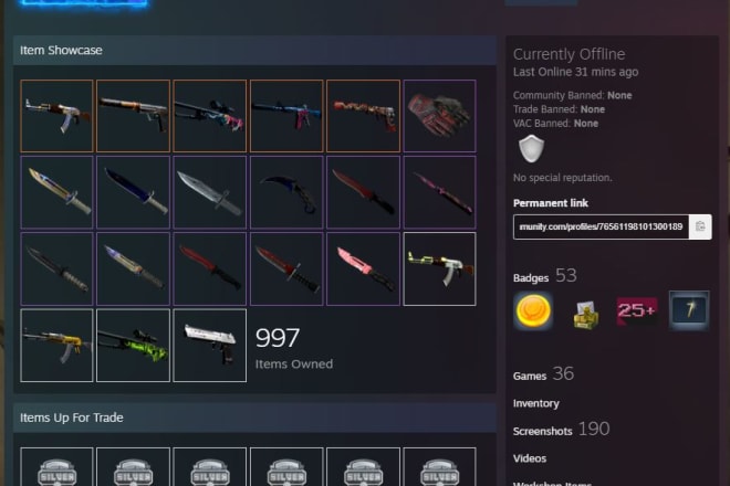 I will offer you a private tutor session on csgo trading to make profit
