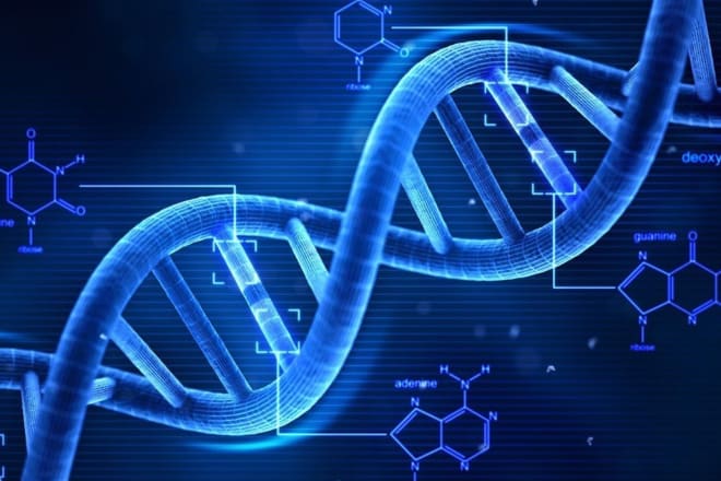 I will perform deluxe dna repair, healing and activation