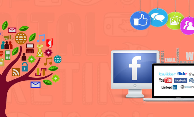 I will perform seo for your shopify, bigcommerce, woocommerce site