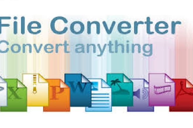 I will professionally convert any file format to other format