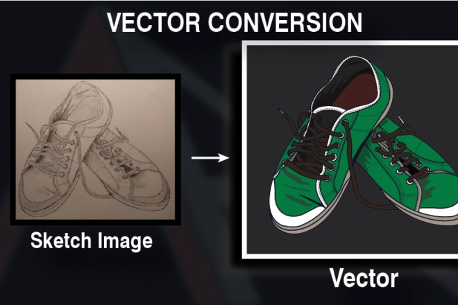 I will professionally vectorized with in 6 to 24 hours