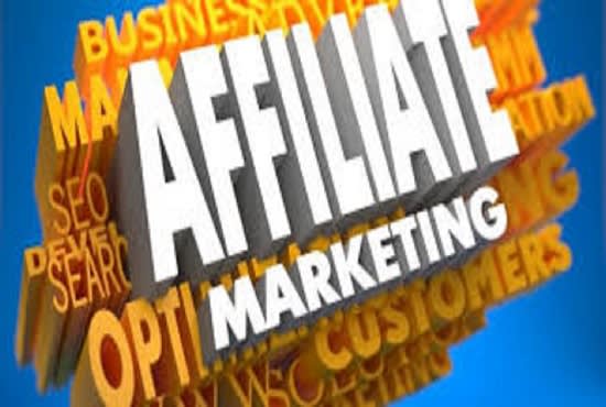 I will promote your affiliate link website correctly to the best social media