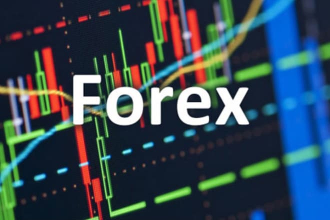 I will provide you profitable forex trading bot, ea trading bot