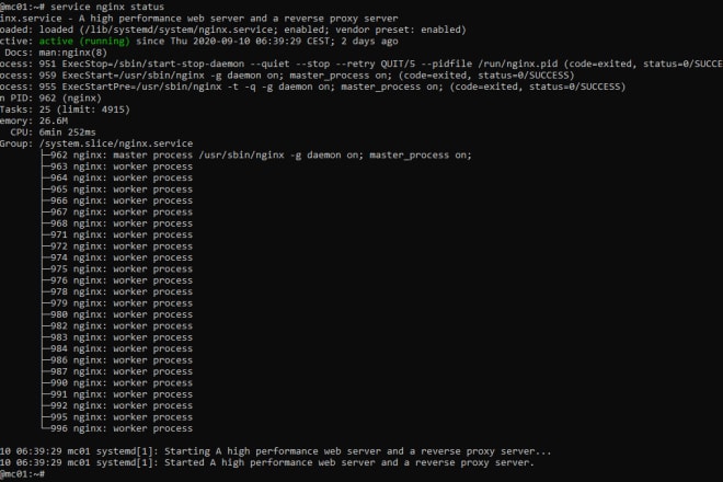 I will setup or fix your needed things server, network, others