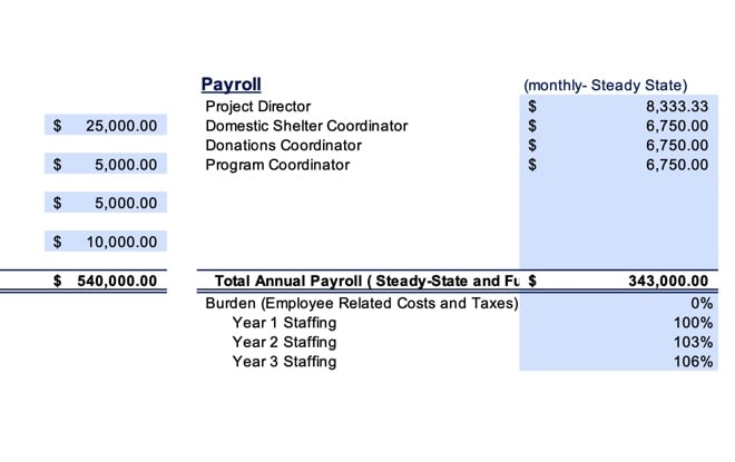 I will write a nonprofit business plan that will guarantee funding