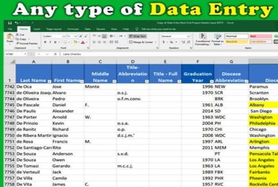 I will your data entry expert as virtual assistant