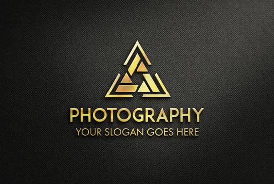 I will be your professional online custom logo maker