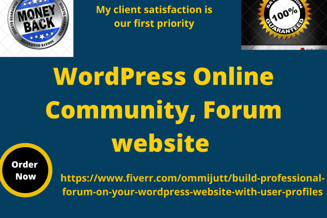 I will build a professional wordpress forum, online community website