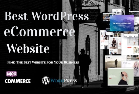I will create the best ecommerce website for you with wordpress