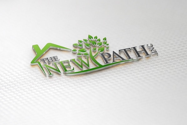 I will design 2 minimalist logo in 24 hrs with source file