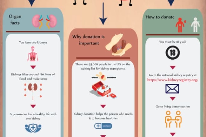 I will design flowcharts, piecharts, business infographic design