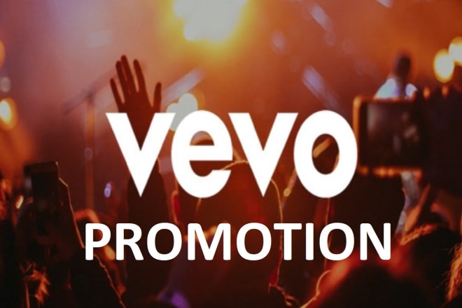 I will do effective vevo channel or music video promotion for you