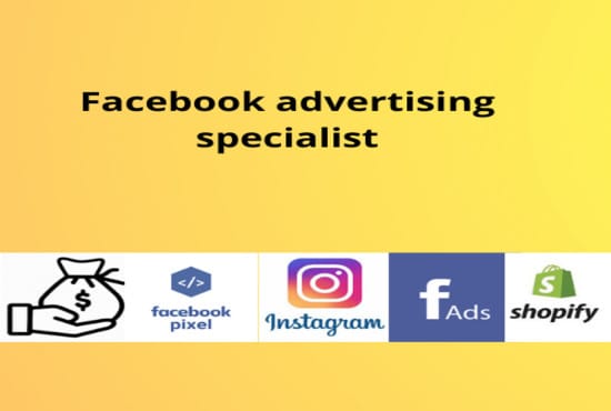 I will do facebook advertising for shopify store or online store