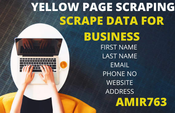 I will extract data using web search or yellow pages in excel sheet