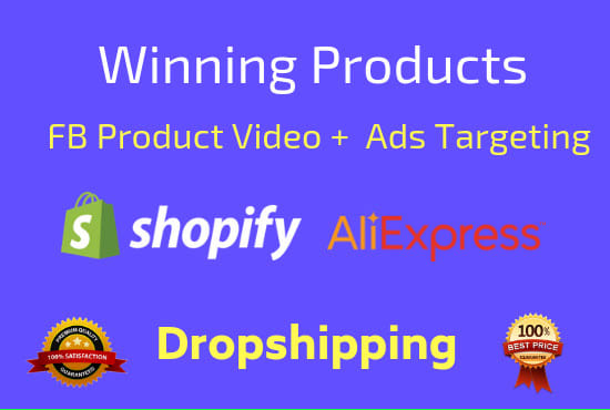 I will find dropshipping winning products with video and fb targeting
