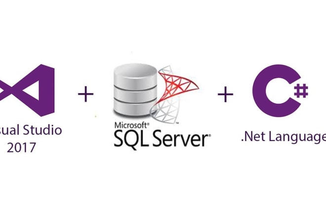 I will install visual studio and sql server in your windows machine